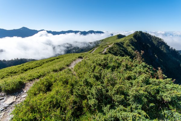 合歡主峰雲海之舞1129369