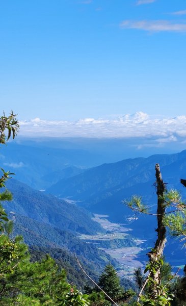 【中級山縱走】羅馬縱走，走進神木的夢幻童話森林世界2943187