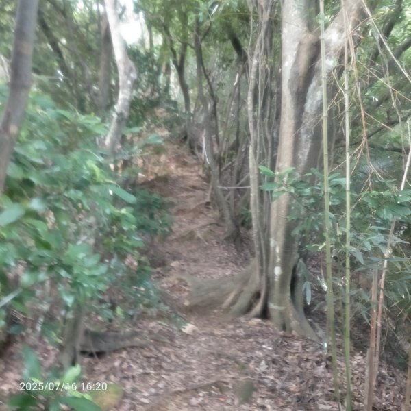 皮皮:三段崎古道2838649