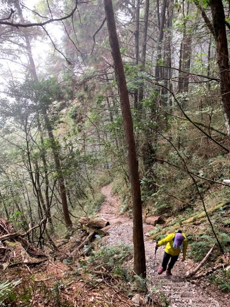 109-02-29谷關七雄老大-八仙山861920