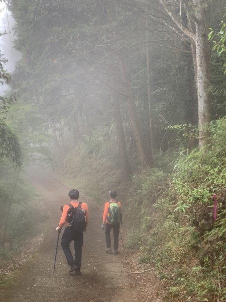 20260501南投嶺頭山-金柑樹山3052907