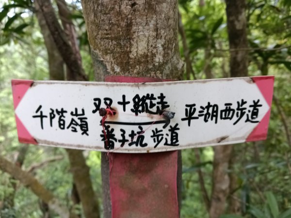 平溪區三功大厝+番子坑山+千階嶺步道O型2781174