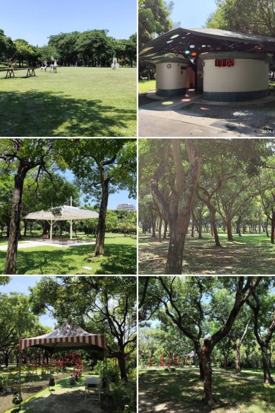 龍山河濱公園、大安森林公園、大港墘公園、花博公園圓山園區【走路趣尋寶】【臺北健走趣】2587904