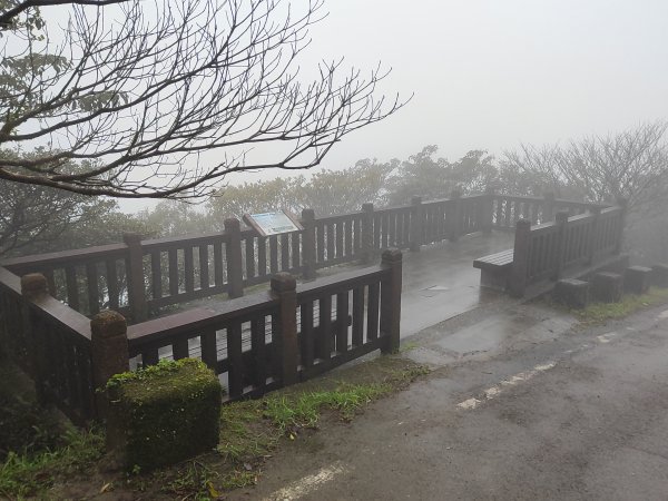 2026臺北大縱走第一段&第二段3011322