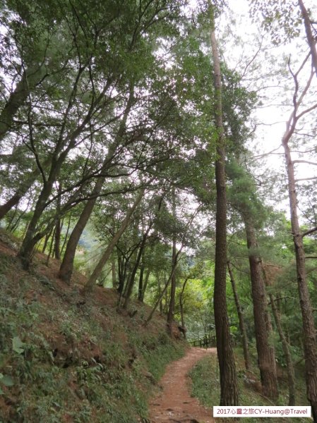 《南投》心靈之旅｜惠蓀林場步道群20171010-212890526