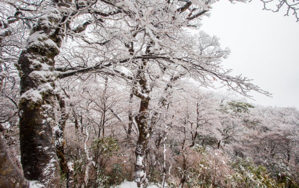 冰凍北插天山1232384