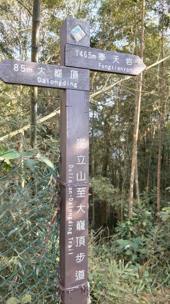 獨立山 大巃頂 阿拔泉 觀音石 紅南坑1224352