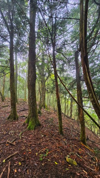 112.04.08 油羅山2123578