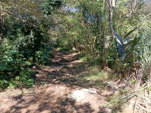 基隆市/萬里區界寮縱走之三界山+三界山西峰+開眼尖山+七分寮山+瑪七產道山泉水接水亭2979522