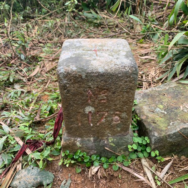 20260124屏東老佛山-老佛山南峰2992214