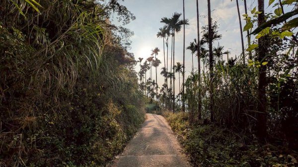 竹仔尖山步道3002509