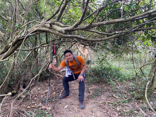 巴層巴墨山【一趟讓人刷新三觀的山林之旅】2714485