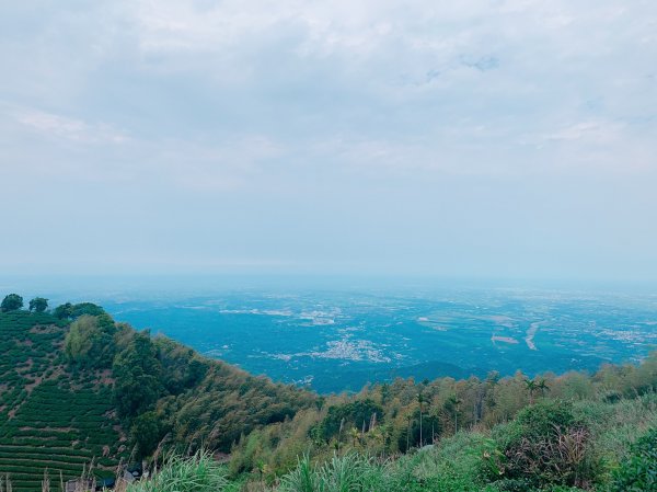 200419梨子腳山步道927394