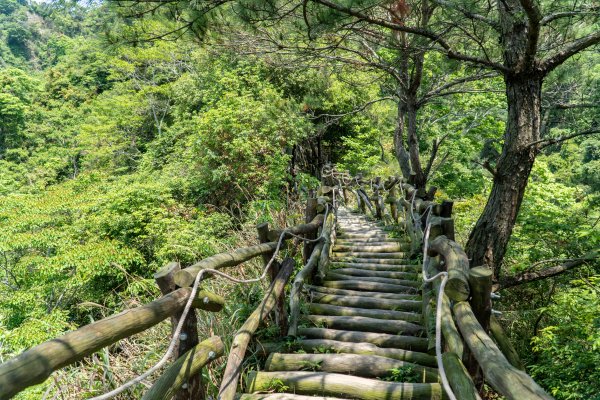 【大坑4號步道】系列中最美也是最硬的步道，全台唯一枕木搭建而成，攻頂頭嵙山2147950