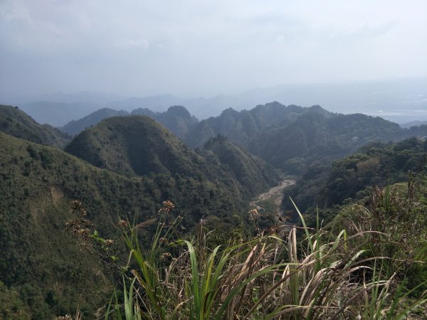 九九峰制高點封面