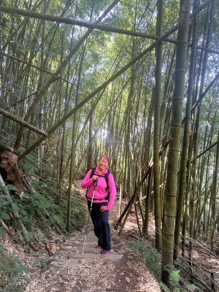 嘉南雲峰、九穹神木3014471