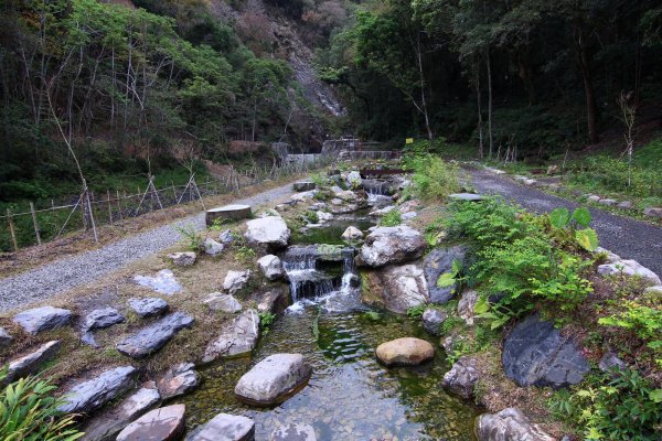 【活動】初夏時節 奧萬大鬆一下