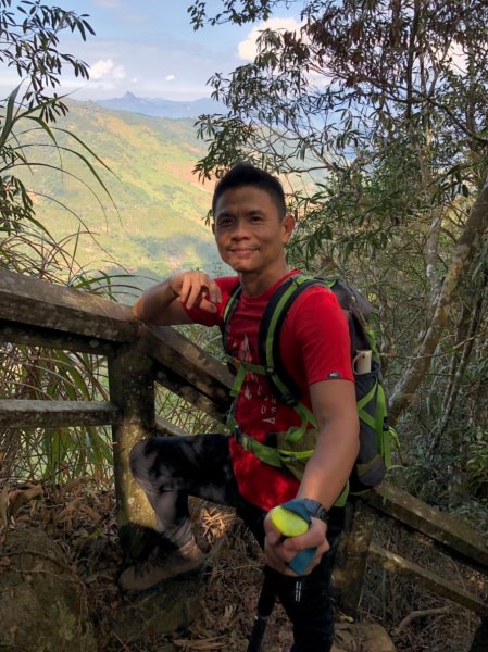 九份二山【在滿山雪白梅花中遇到翠綠樹蛙】506252