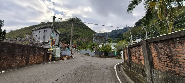 2024/12/22_出關古道出雲段2674443