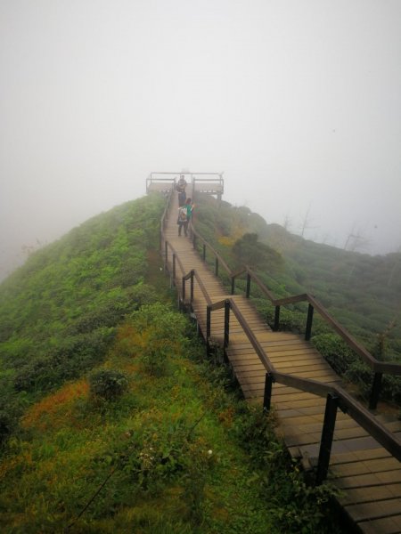 20190105雲霧中的大崙山武岫農圃524381