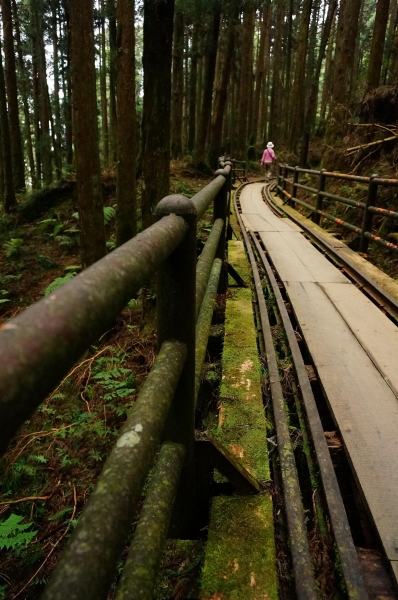 特富野古道90991