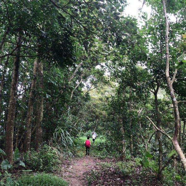 台灣小百岳No.070刣牛湖山1088416