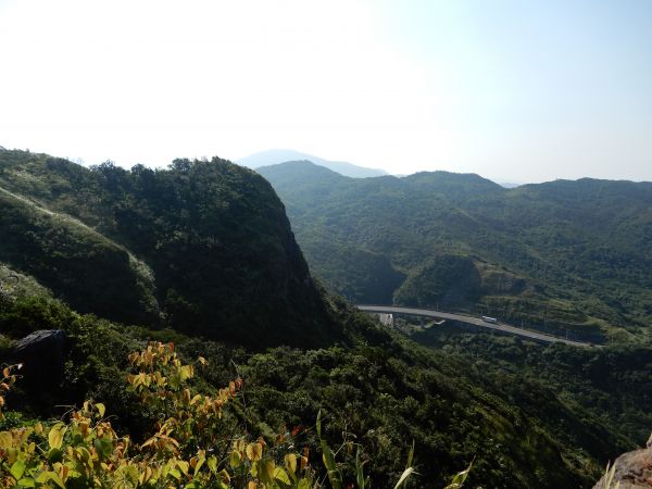 20180731_ 海興步道/大武崙山375597