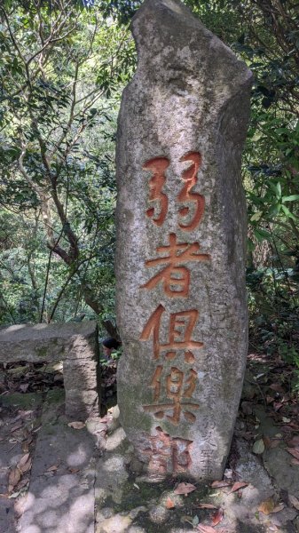 觀音山 硬漢嶺步道2116859