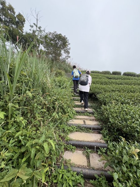 20251024雲嘉五連峰+碧湖山2924237