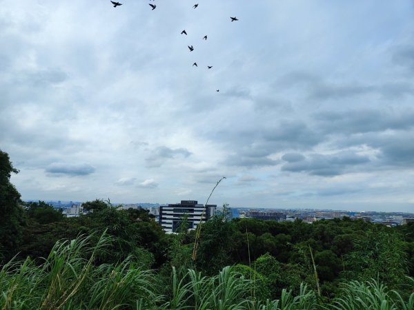 五酒桶山步道封面