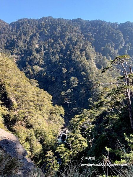【南投】合歡溪步道：遠得要命的櫻花鉤吻鮭2912233
