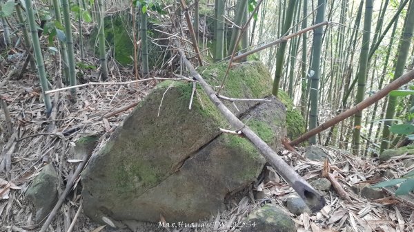 《南投》古道巡禮｜八通關古道社寮線蜈蚣崙段202511152937053