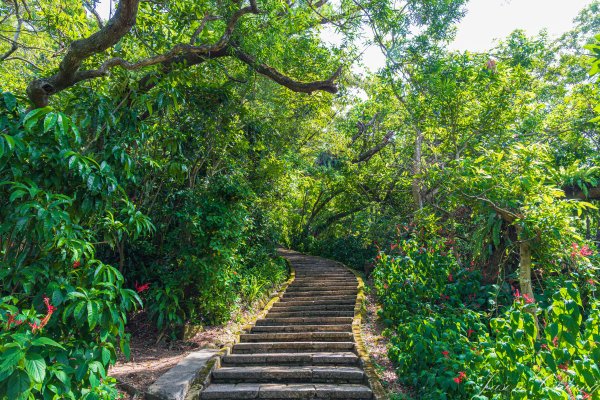 [台北]虎山親山步道、九五峰、南港山2911302