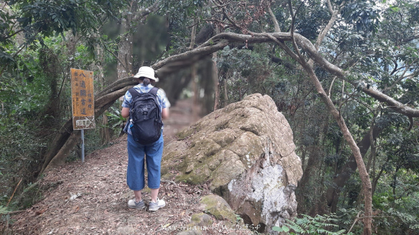 《南投》古道巡禮｜八通關古道社寮線蜈蚣崙段