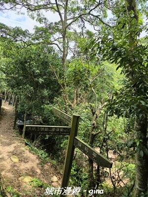 【台中北屯】大坑四號步道x頭嵙山3090950