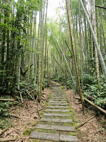 迷糊步道 - 2024嘉遊好步道．來嘉走走2632486