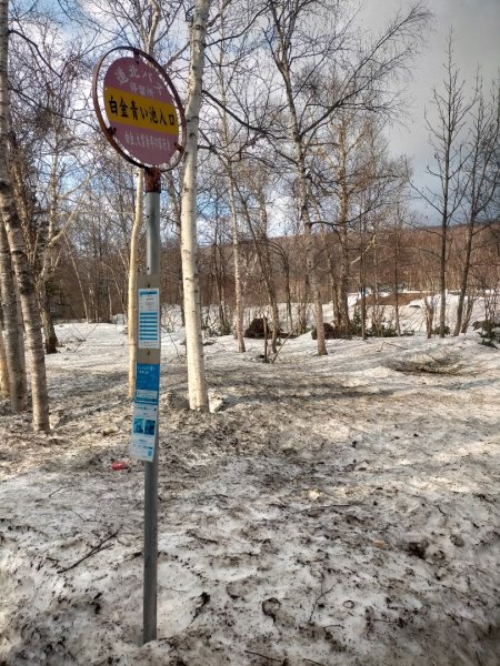 日本北海道青池2759839