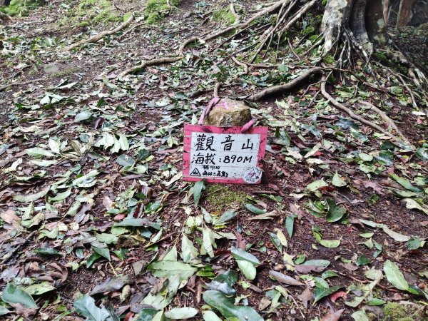[苗栗] 仙山群峰 + 八仙古道 + 南庄觀音山