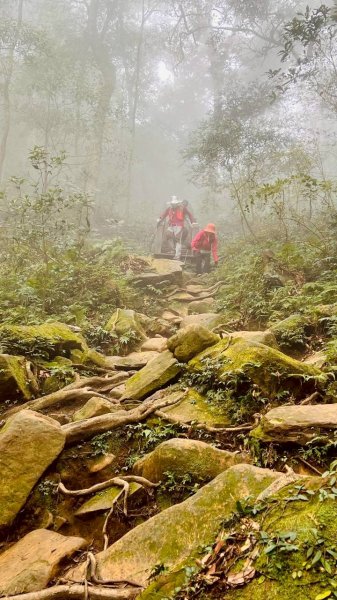 🌈12/28（日）北得拉曼神木+內鳥嘴山✨FB：熊熊趴爬走🌈2971262