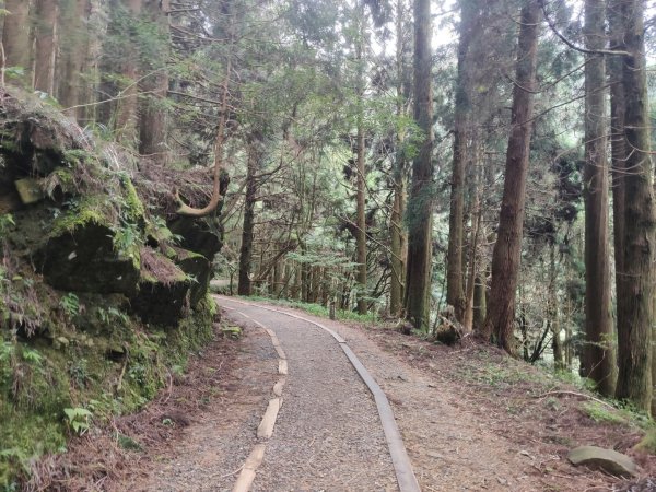 1140830特富野古道3099963