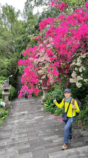 穀雨時節 走指南宮朝聖步道 遇見油桐花 也遇見自己2156762