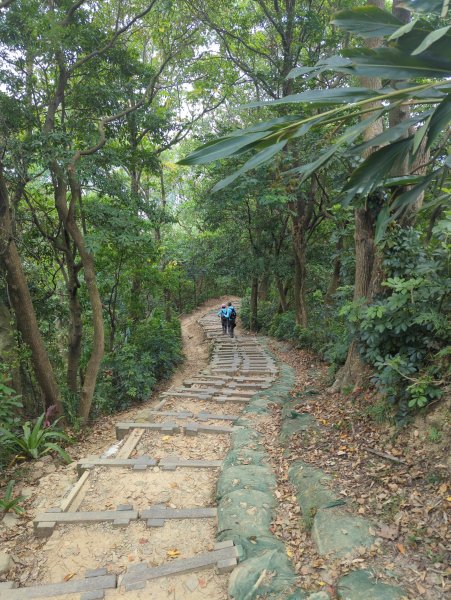 2025.08.30－微笑山線：【大棟山系】2874471