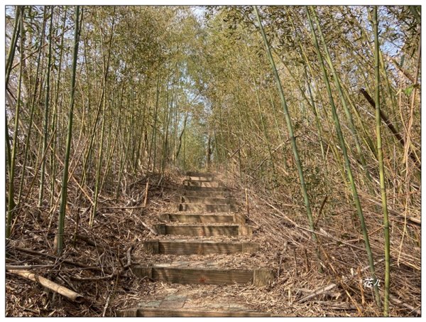 火炎山、龍峎頂步道 O型路線2783759