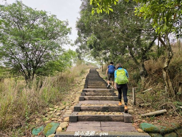 【台中龍井/大肚】竹坑南寮登山步道x瑞井登山步道O繞3031257
