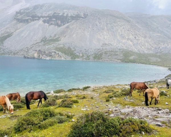 川藏33天深度之旅💙#稻城亞丁-來古冰川2901879