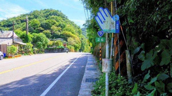 黃櫸皮寮山2898296