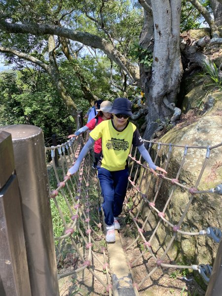 《夏日大坑同行記｜10號步道登稜線，與家人感受山風與人情味》2926340