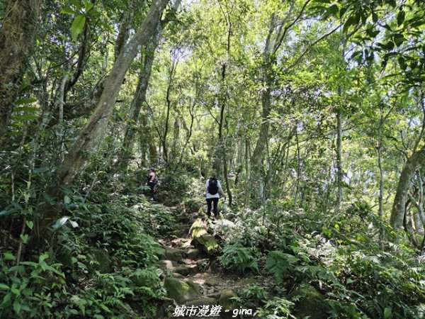 【桃園大溪】溪洲山步道(福山巖登山步道)3057160