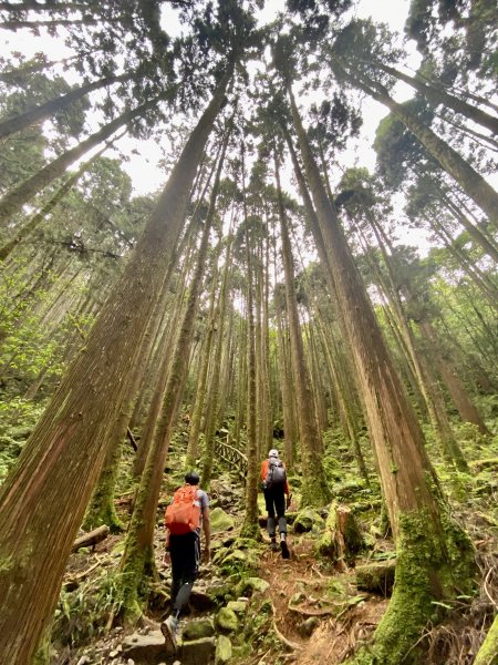 橫嶺山散步趣    2022/8/171809055