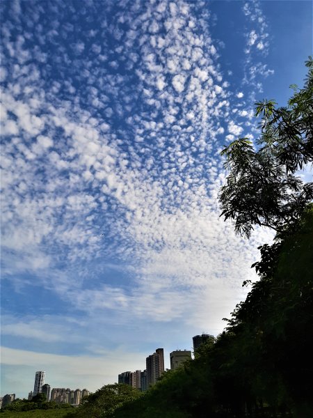 關渡親山步道｜雨過天晴 讓我們看雲去1435678